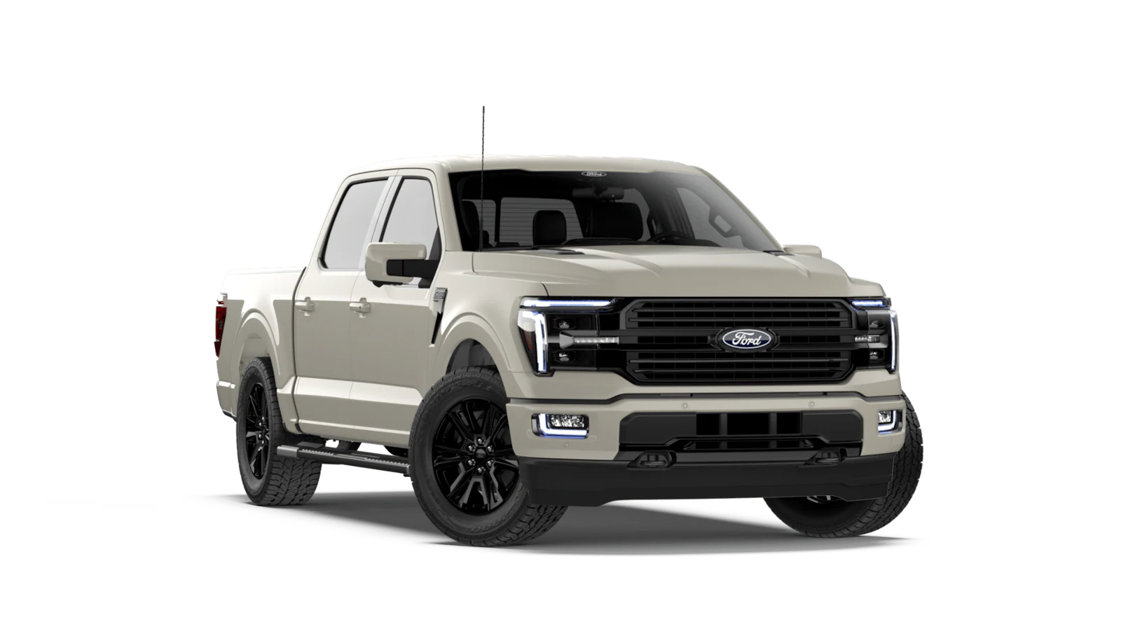 Platinum® trim image
